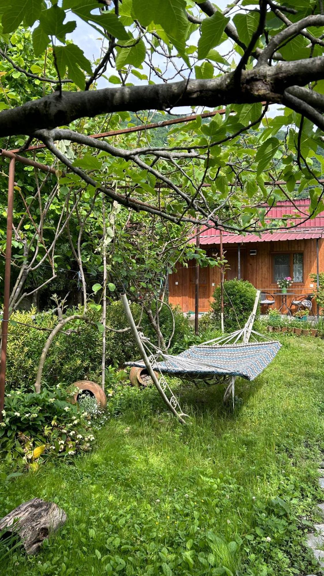Ludwig Guesthouse Lagodechi Exteriör bild